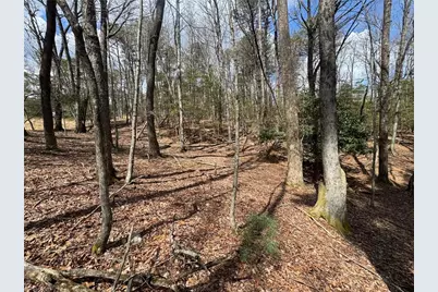 Tbd Ward Circle Drive, Sparta, NC 28675 - Photo 14