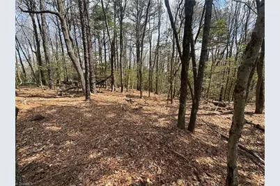 Tbd Ward Circle Drive, Sparta, NC 28675 - Photo 6