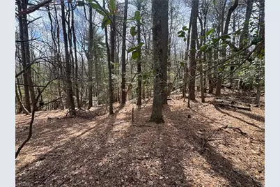 Tbd Ward Circle Drive, Sparta, NC 28675 - Photo 8