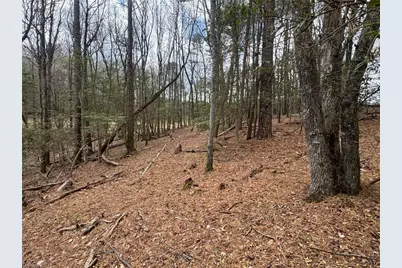 Tbd Ward Circle Drive, Sparta, NC 28675 - Photo 20