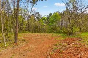 259 Cabin Creek Dr, Denton, NC 27239 - Photo 1