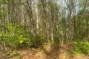 0 Della Dr, Winston-Salem, NC 27105 - Photo 1