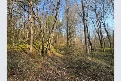 Tbd Billings Hill Church Road, Traphill, NC 29868 - Photo 14