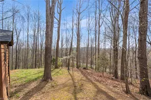 236 Jacobs Creek Rd, Madison, NC 27025 - Photo 46