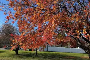 215 Freeman St, Dobson, NC 27017 - Photo 10