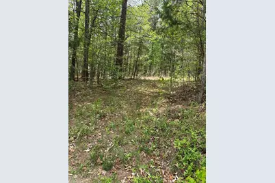 0 Clyde King Road, Seagrove, NC 27341 - Photo 2