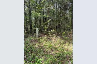 0 Clyde King Road, Seagrove, NC 27341 - Photo 6