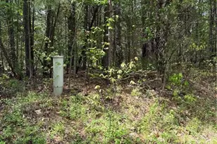 0 Clyde King Rd, Seagrove, NC 27341 - Photo 1