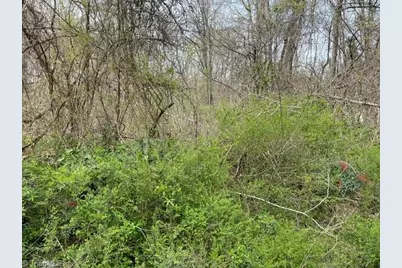 00 Old Walker Mill Road, Randleman, NC 27317 - Photo 2