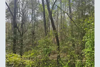 00 Spring Drive, North Wilkesboro, NC 28659 - Photo 8