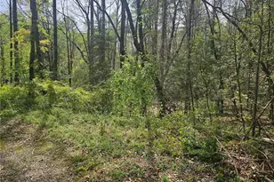 00 Spring Dr, North Wilkesboro, NC 28659 - Photo 1