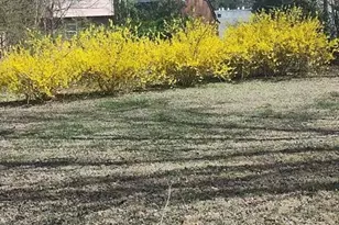 784 White Pines Country Club Rd, Mount Airy, NC 27030 - Photo 26