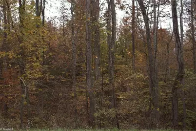 00 Griffin Road, Stokesdale, NC 27357 - Photo 28