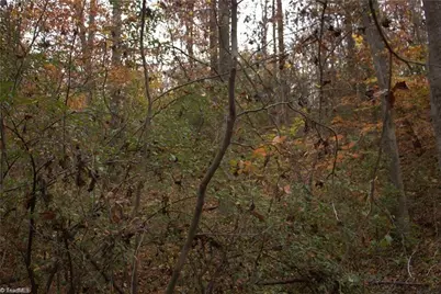 00 Griffin Road, Stokesdale, NC 27357 - Photo 20