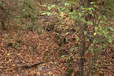 00 Griffin Road, Stokesdale, NC 27357 - Photo 26