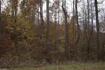 00 Griffin Road, Stokesdale, NC 27357 - Photo 4