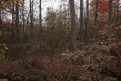 00 Griffin Road, Stokesdale, NC 27357 - Photo 12