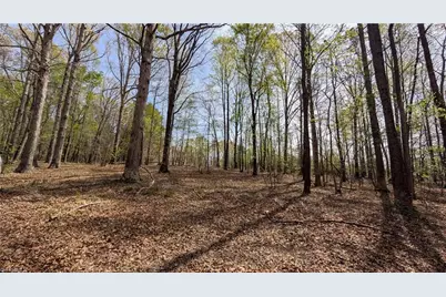 441 Reddie Road, Stoneville, NC 27048 - Photo 14