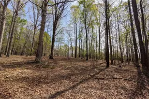 441 Reddie Rd, Stoneville, NC 27048 - Photo 14