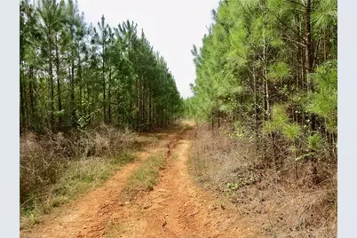 0 Vernon Road, Reidsville, NC 27320 - Photo 26