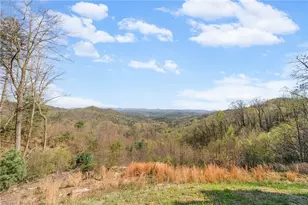 196 Eagle Nest Rd, Purlear, NC 28665 - Photo 36