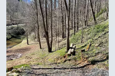 6 Stonegate Lane, Creston, NC 28615 - Photo 4