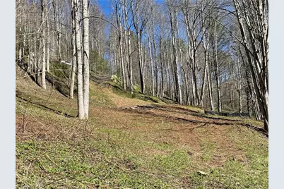 6 Stonegate Lane, Creston, NC 28615 - Photo 10