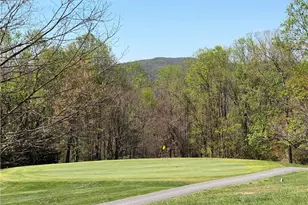 217 Fairview Dr, Traphill, NC 28685 - Photo 46