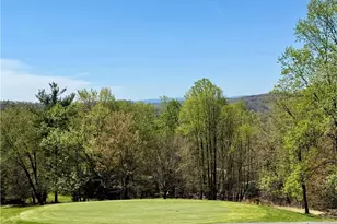 217 Fairview Dr, Traphill, NC 28685 - Photo 22