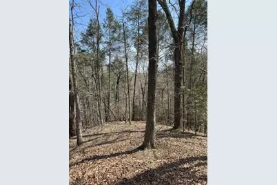 00 Seven Island Road, Danbury, NC 27016 - Photo 6