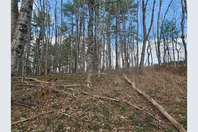 Tbd Panorama Drive, Todd, NC 28684 - Photo 16