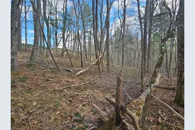 Tbd Panorama Drive, Todd, NC 28684 - Photo 10