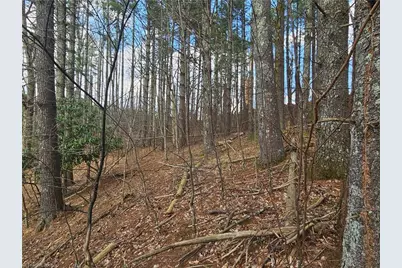 Tbd Panorama Drive, Todd, NC 28684 - Photo 6