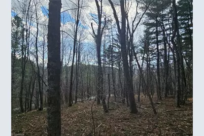 Tbd Panorama Drive, Todd, NC 28684 - Photo 14