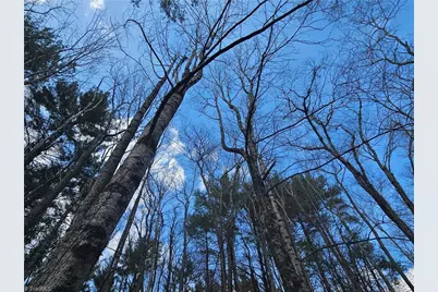 Tbd Panorama Drive, Todd, NC 28684 - Photo 18