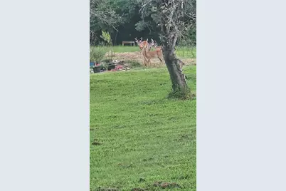 140 Allen Road, Reidsville, NC 27320 - Photo 8