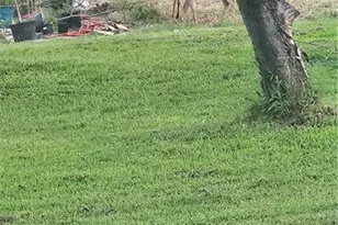 140 Allen Rd, Reidsville, NC 27320 - Photo 8