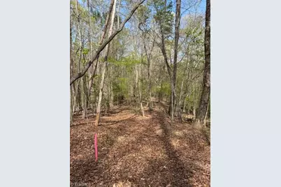 00 Seven Island Road, Danbury, NC 27016 - Photo 6