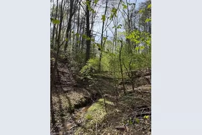 00 Seven Island Road, Danbury, NC 27016 - Photo 8