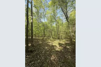 0 Cashatt Road, Trinity, NC 27370 - Photo 10