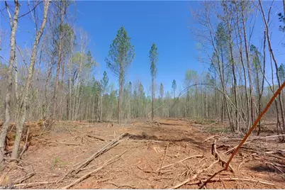 2 Alexander Farm Road, Harmony, NC 28634 - Photo 14