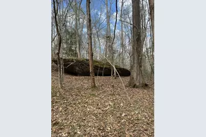 00 Seven Island Road, Danbury, NC 27016 - Photo 2