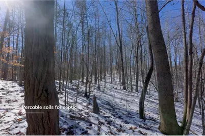 0 Otis Woods Road, Danbury, NC 27046 - Photo 26
