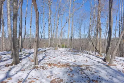 0 Otis Woods Road, Danbury, NC 27046 - Photo 30