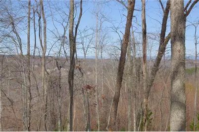 0 Otis Woods Road, Danbury, NC 27046 - Photo 38