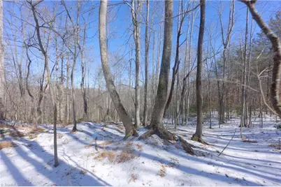 0 Otis Woods Road, Danbury, NC 27046 - Photo 28