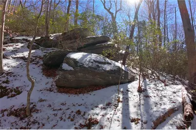 0 Otis Woods Road, Danbury, NC 27046 - Photo 24