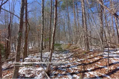 0 Otis Woods Road, Danbury, NC 27046 - Photo 24