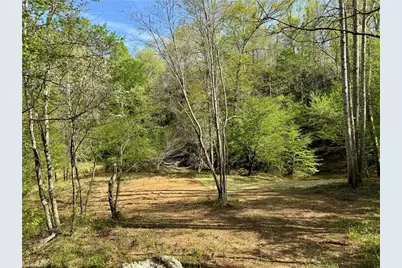 0 Otis Woods Road, Danbury, NC 27046 - Photo 8