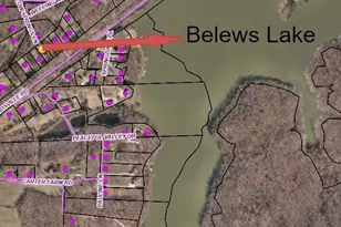 6451 Reidsville Rd, Belews Creek, NC 27009 - Photo 2